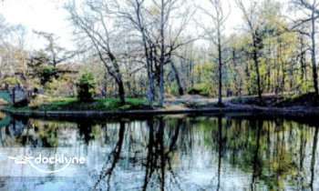 Wheel Fun boat rental operation on Brooklyn, NY 3