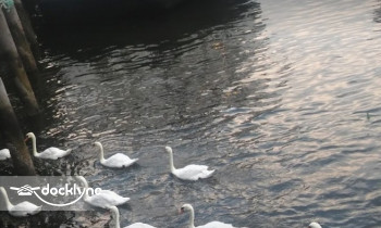 Whatta Catch Sport Fishing & Charter Boat boat rental operation on Brooklyn, NY 2