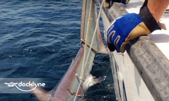 Whatta Catch Sport Fishing & Charter Boat boat rental operation on Brooklyn, NY 3