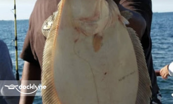 Capt's Lady / Marilyn Jean Private Fishing Charters boat rental operation on Brooklyn, NY 1