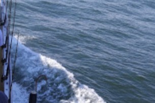 marinaBoat