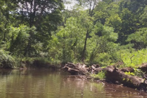 marinaBoat