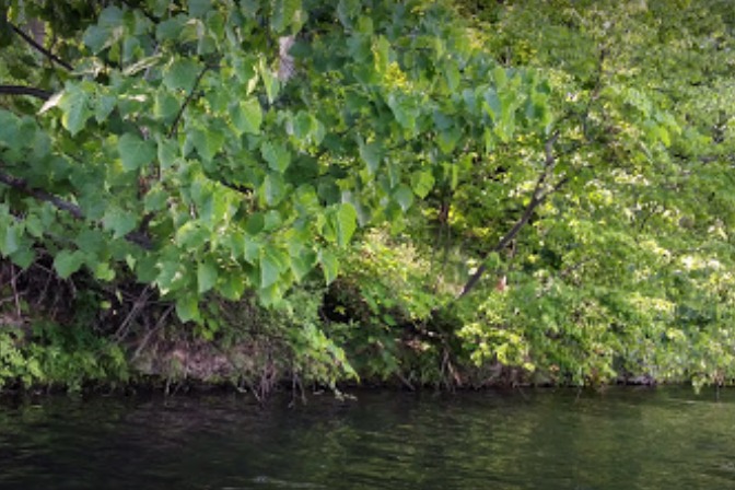marinaBoat