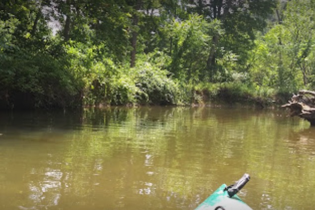 marinaBoat