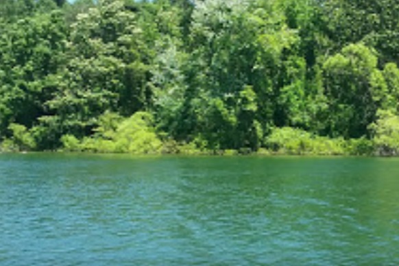 marinaBoat