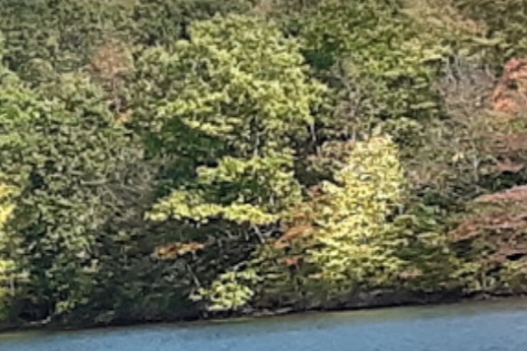 marinaBoat