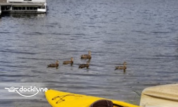 Pier 66 Lake Front Cottages & Boat Rentals boat rental operation on Union City, PA 3