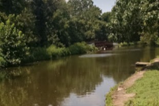 marinaBoat