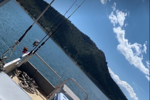 marinaBoat