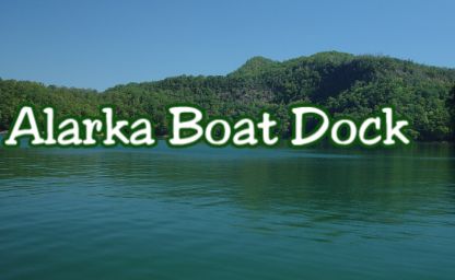 marinaBoat