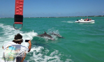 Caribbean Watersports boat rental operation on Key Largo, FL 4