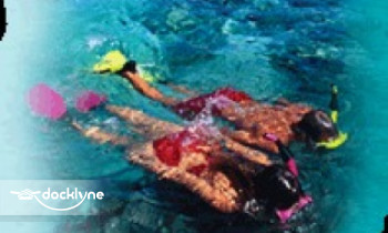 Caribbean Watersports boat rental operation on Key Largo, FL 6