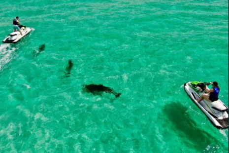 marinaBoat