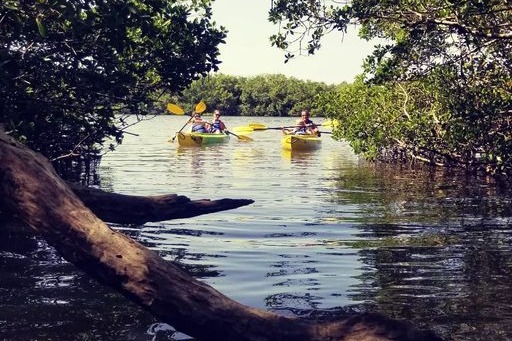 marinaBoat