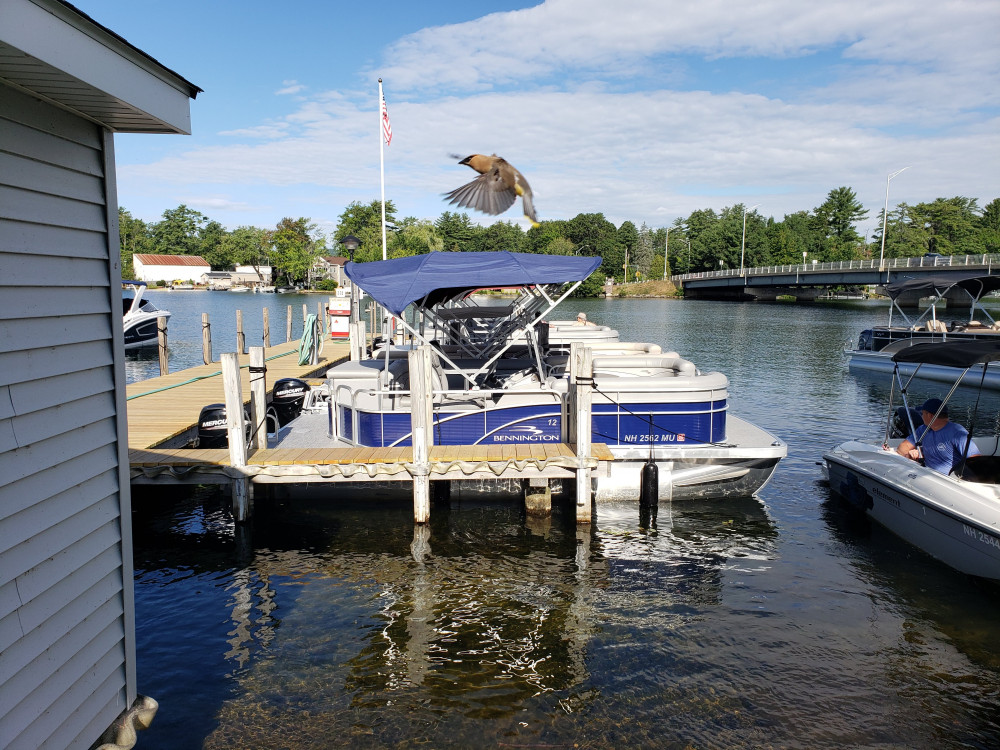marinaBoat