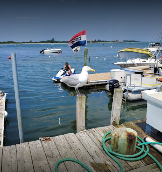 marinaBoat