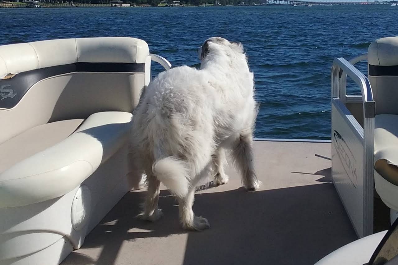 marinaBoat