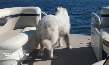 Beach Time Pontoon Rental boat rental operation on Destin, FL 4