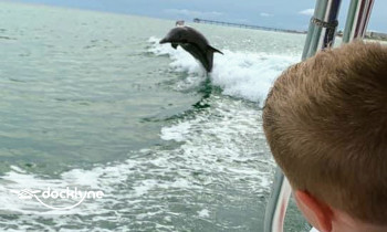 Screaming Eagle Sports boat rental operation on Destin, FL 9