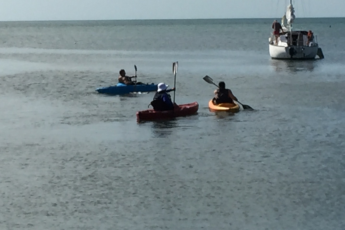 marinaBoat