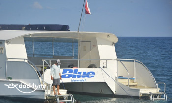 Sundance Watersports boat rental operation on Islamorada, FL 9