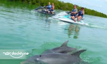 Capt Ron’s Awesome Everglades Adventures boat rental operation on Marco Island, FL 3