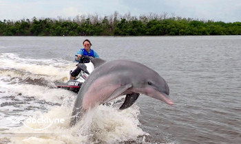 Capt Ron’s Awesome Everglades Adventures boat rental operation on Marco Island, FL 7