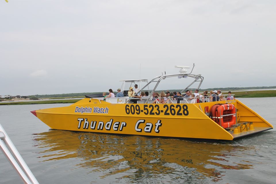 marinaBoat