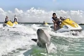 marinaBoat