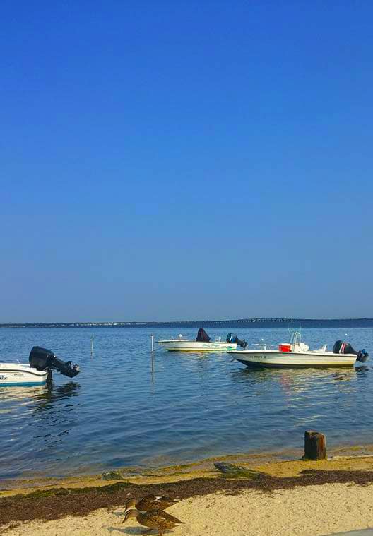 marinaBoat