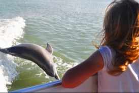 marinaBoat