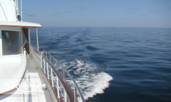 Lady Chateau Yacht Charters boat rental operation on Fort Lauderdale, FL 5