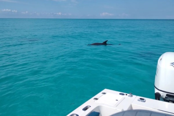 marinaBoat