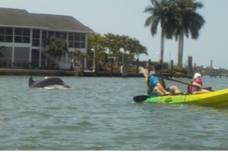 marinaBoat