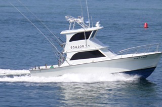 marinaBoat