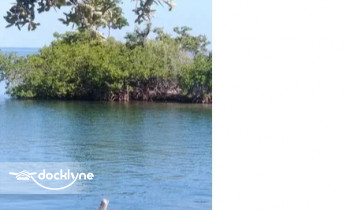 Wet Willy's Watersports boat rental operation on Duck Key, FL 4