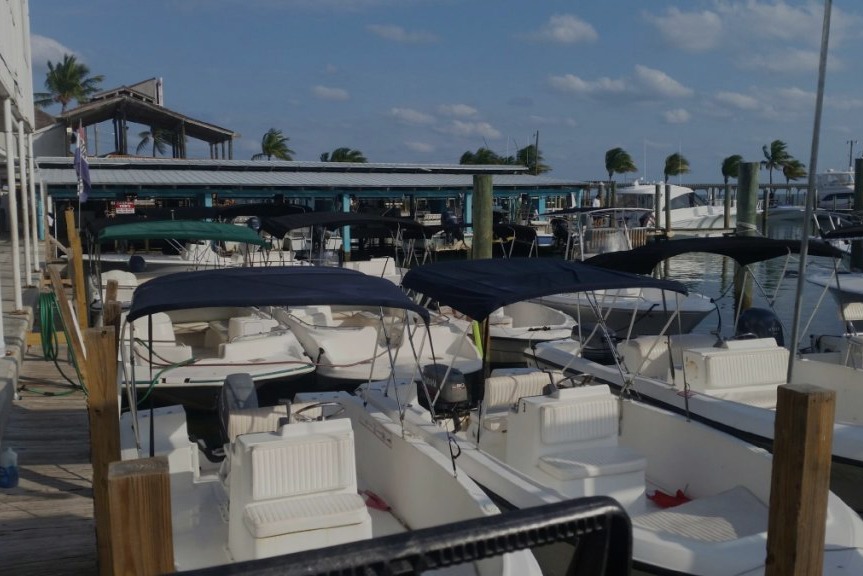 marinaBoat