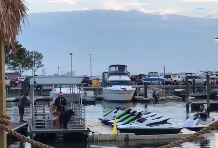marinaBoat