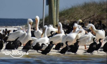 Tidewater Tours boat rental operation on Cedar Key, FL 1