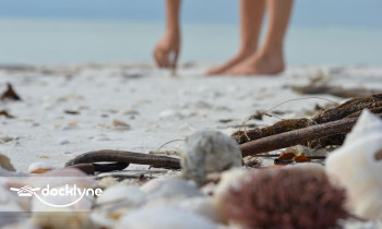 SIGHT SEA-R CRUISES boat rental operation on Fort Myers Beach, FL 3
