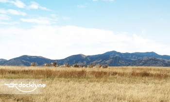 Goose Bay Marina & Campground boat rental operation on Townsend, MT 1