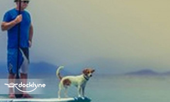 Crazy Moose Kayak & Paddleboard Rentals boat rental operation on Thompson Falls, MT 1