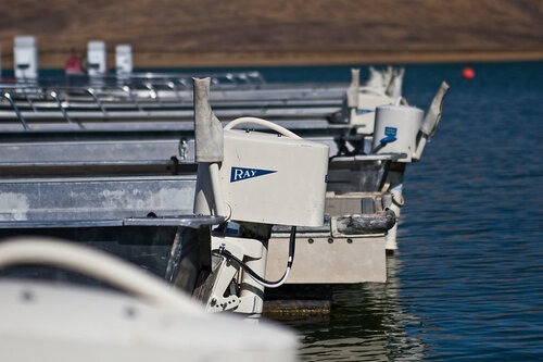 marinaBoat