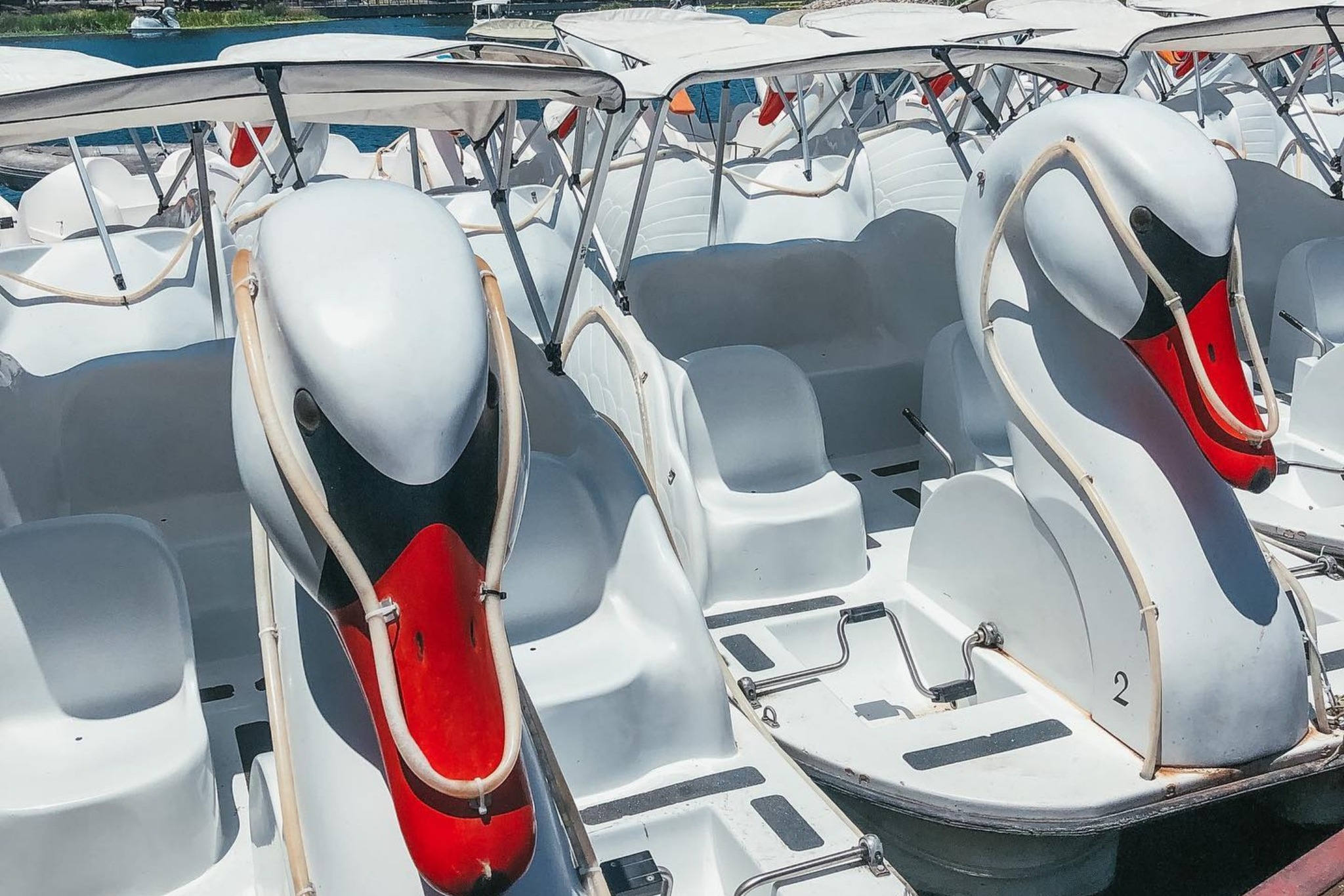 marinaBoat