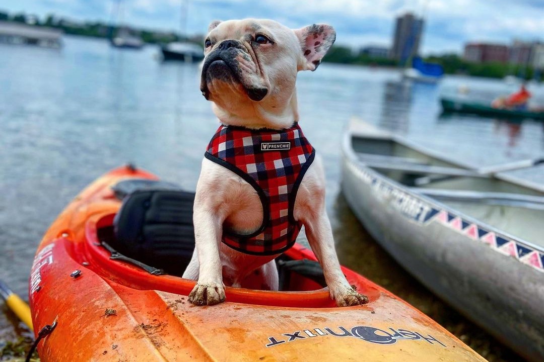 marinaBoat
