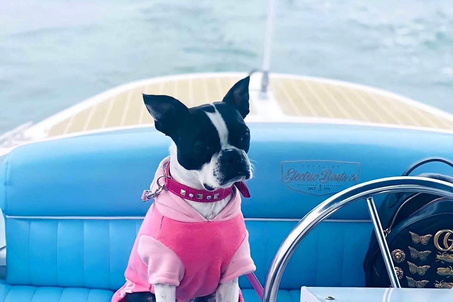 marinaBoat