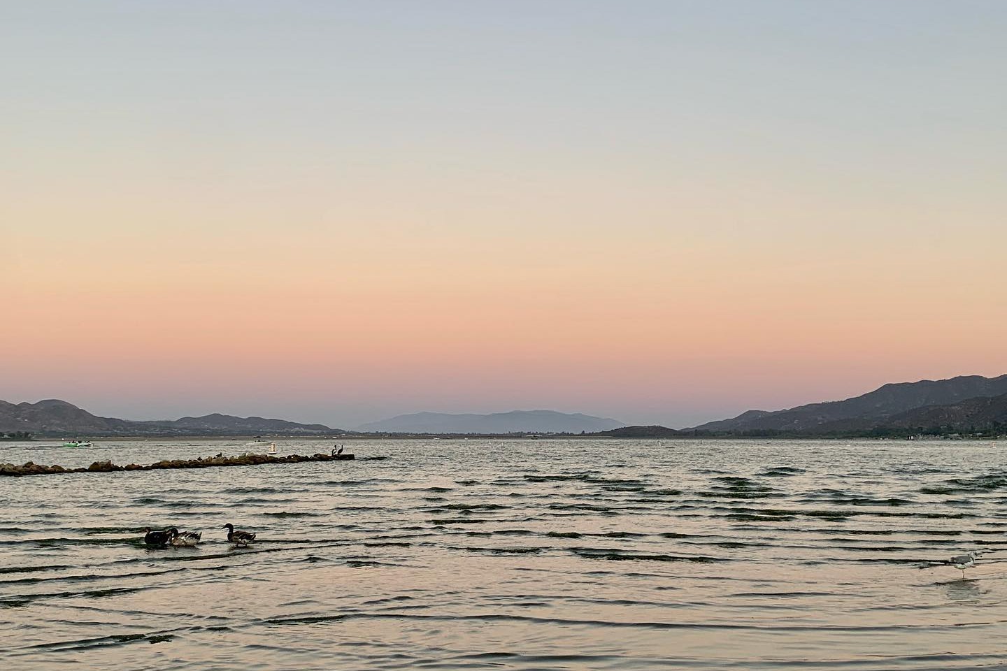 marinaBoat