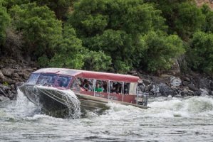 marinaBoat