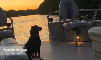 Johnson's Ranch Marina boat rental operation on Karnack, TX 3