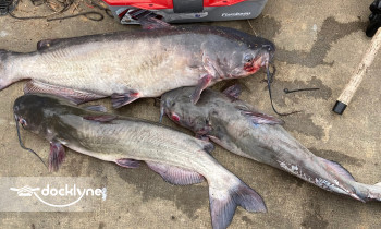 Rawhideboatrentals, LLC boat rental operation on Arthur City, TX 5